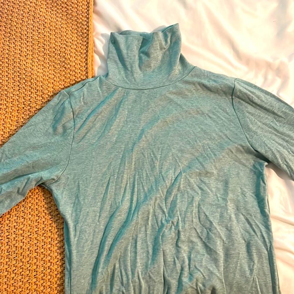 Steal large turtleneck